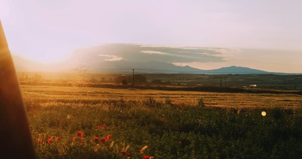 119 Boa tarde quarta-feira com flores e carinho