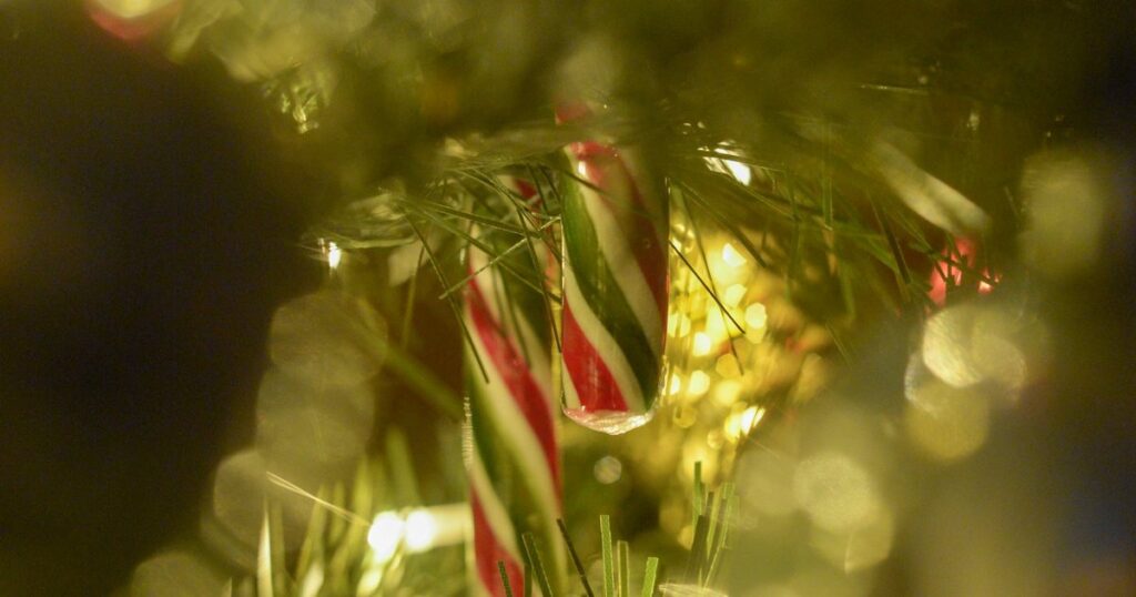 121  frases natal fraternidade